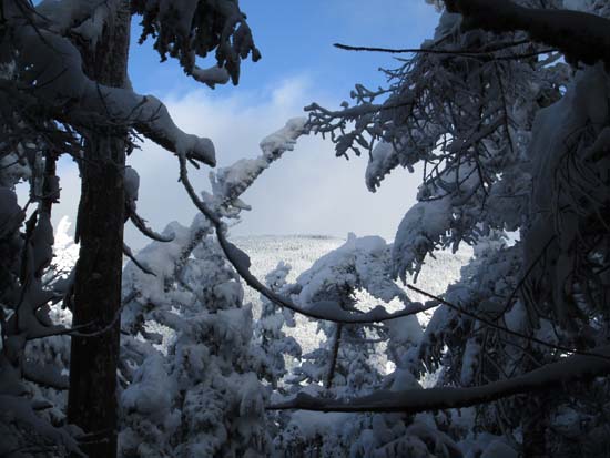 Slight views of Mt. Field near West Field - Click to enlarge