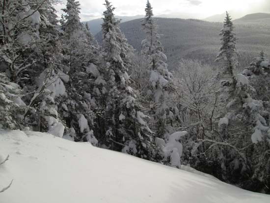 Looking back at West Field from a slide on Mt. Field