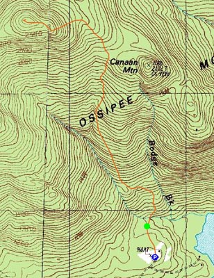 Topographic map of Mt. Flagg - Click to enlarge