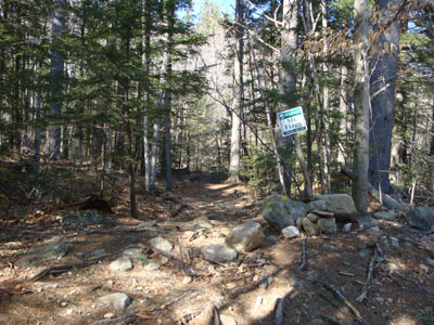 Mt. Flagg Trail trailhead down the road from the Camp Merrowvista main office