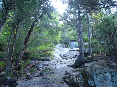 Looking up the Flume Slide Trail