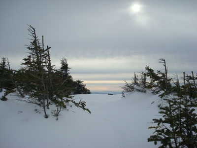 The Franconia Ridge Trail near the summit of Mt. Flume