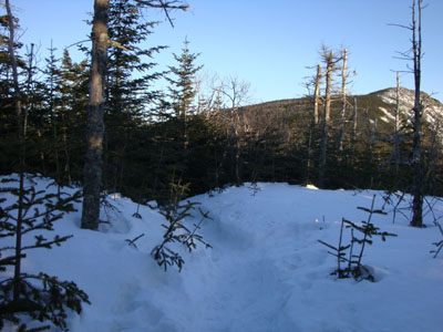The Franconia Ridge Trail between Mt. Liberty and Mt. Flume