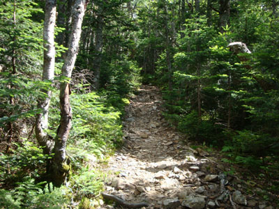 The Franconia Ridge Trail between Mt. Liberty and Mt. Flume
