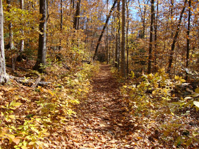 The Osseo Trail