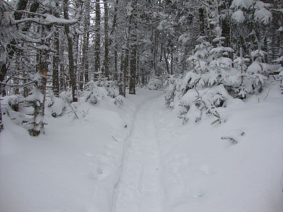 The Franconia Ridge Trail between Mt. Flume and Mt. Liberty