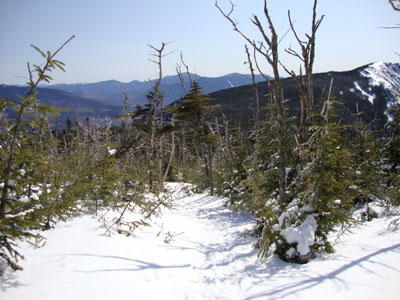 The Franconia Ridge Trail between Mt. Flume and Mt. Liberty