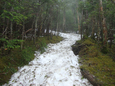The Franconia Ridge Trail between Mt. Flume and Mt. Liberty