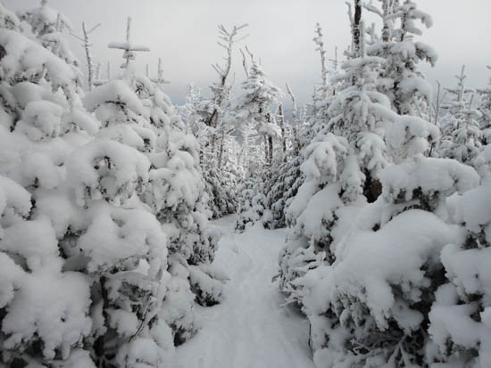 The Franconia Ridge Trail between Mt. Flume and Mt. Liberty