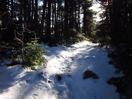 The Franconia Ridge Trail between Mt. Flume and Mt. Liberty