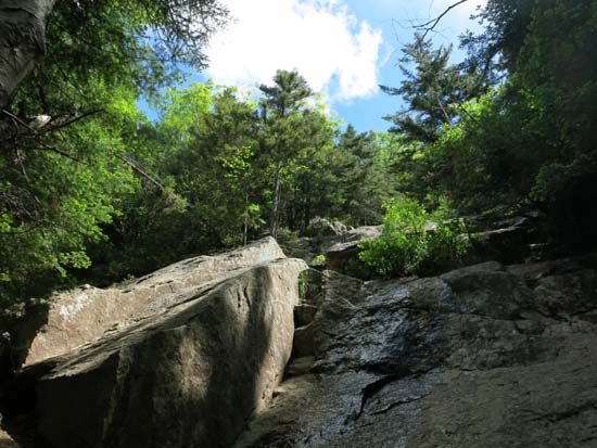 Looking up the Flume Slide Trail