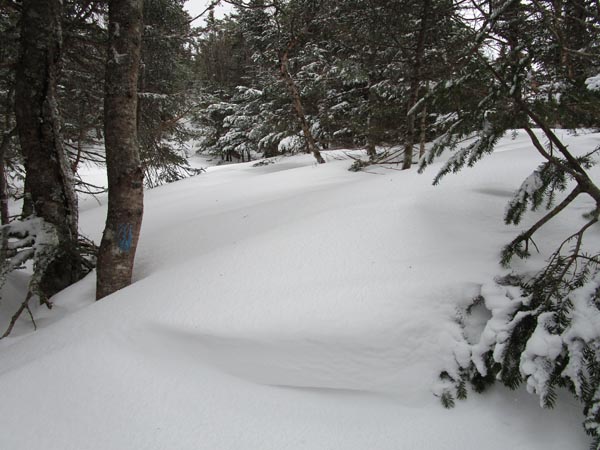 The Franconia Ridge Trail between Mt. Flume and Mt. Liberty