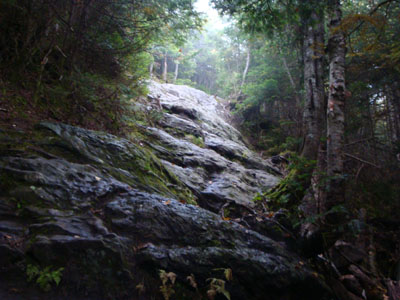 The Garfield Ridge Trail between Galehead and Garfield