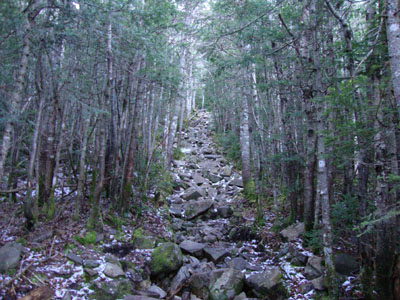 The Garfield Ridge Trail between Galehead and Garfield