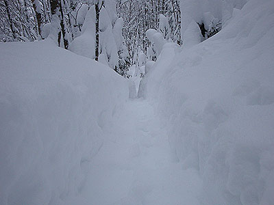 Looking down the Garfield Trail