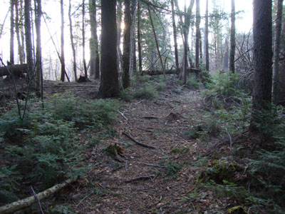 The bare lower portion of the Garfield Trail