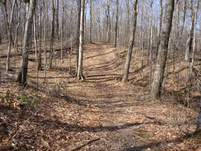 The old snowmobile trail leading to the Garfield Trail