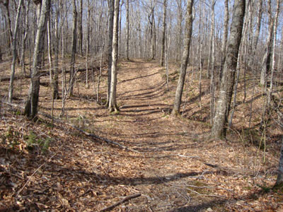 The old snowmobile trail leading to the Garfield Trail