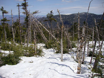 Looking down the Garfield Ridge Trail