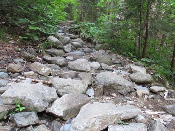 The heavily eroded Garfield Trail
