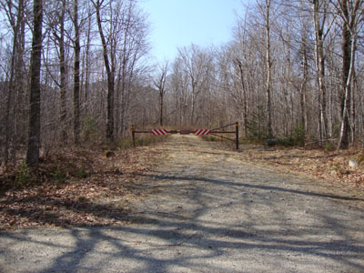 The beginning of the logging road off Gale River Road