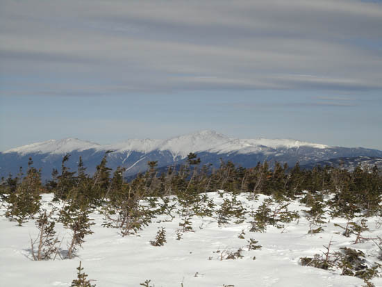 The Presidentials as seen from Mt. Guyot - Click to enlarge