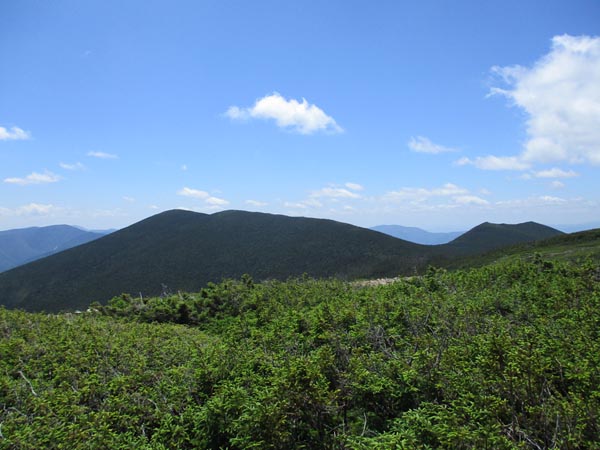 Looking at Mt. Bond and West Bond from Mt. Guyot - Click to enlarge