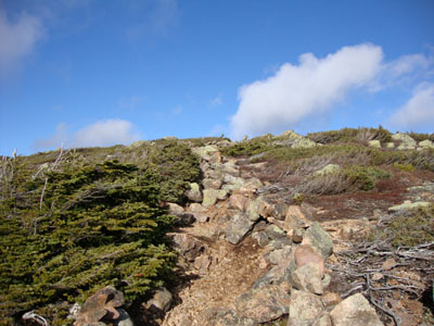 The Bondcliff Trail on the way to Mt. Guyot