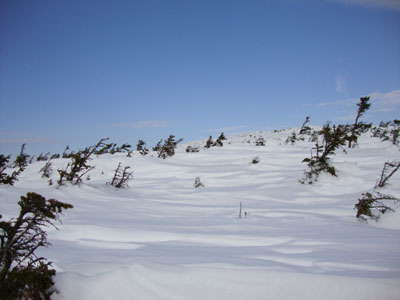 The snowfields between the peaks of Mt. Guyot