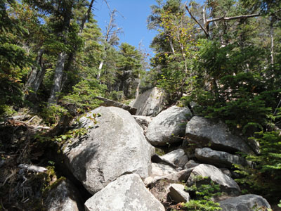 The rocky Twinway between Zealand and Guyot is a sick joke at the end of the day