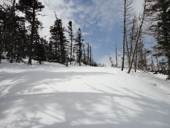 Drifted snow between Zealand and Guyot