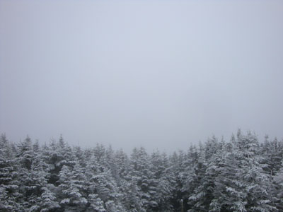 Looking into the clouds at the summit of Mt. Hale - Click to enlarge
