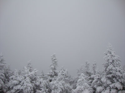 A lack of views from the Mt. Hale summit - Click to enlarge