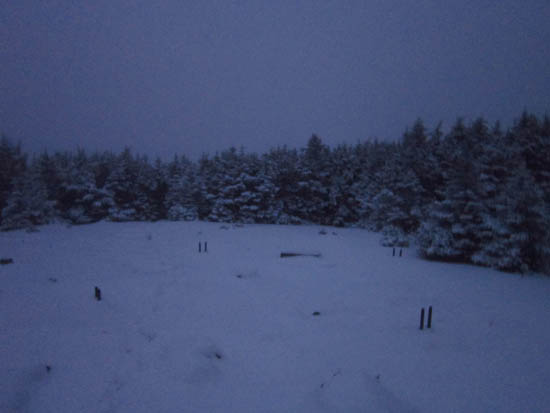 A lack of views from the Mt. Hale summit - Click to enlarge