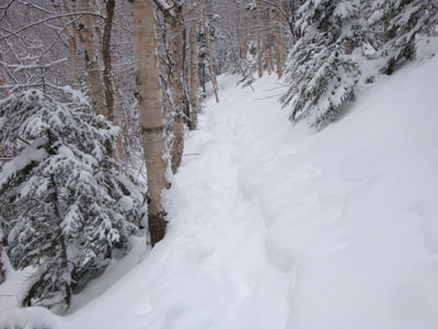 Looking up the sideslope section of the Hale Brook Trail