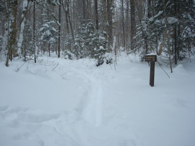 Hale Brook Trail trailhead