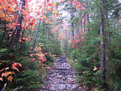 The lower portion of the Hancock Loop Trail