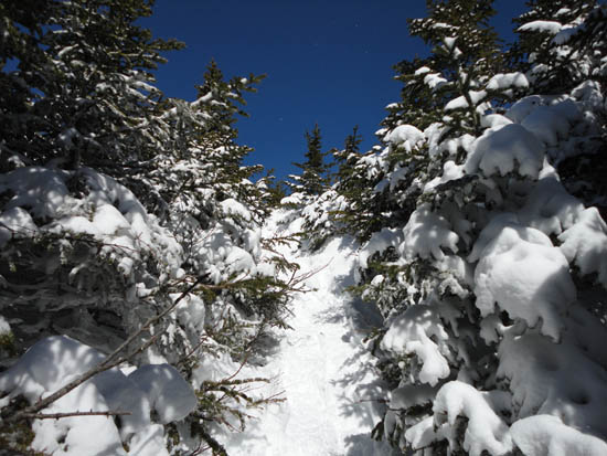 Looking up the Hancock Loop Trail
