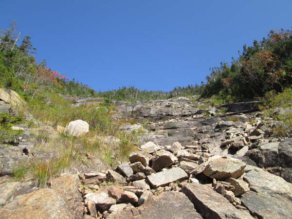 Looking up the Arrow Slide near the top
