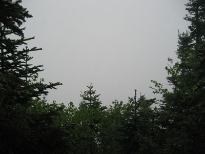 Clouds as seen from the viewpoint near Mt. Hancock's South Peak - Click to enlarge