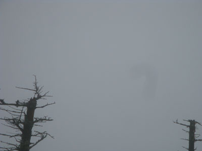Cloud as seen from near Mt. Hancock's South Peak - Click to enlarge