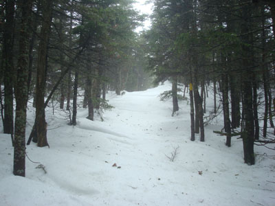 The drifted Hancock Loop Trail to Mt. Hancock's south peak