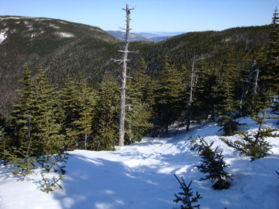 The Hancock Loop Trail on the way to Mt. Hancock's south peak