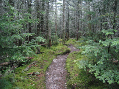 The Hancock Loop Trail on the way to Mt. Hancock's South Peak