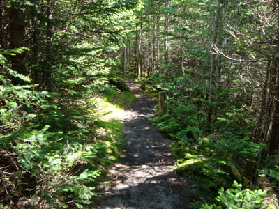 The Hancock Loop Trail between the peaks