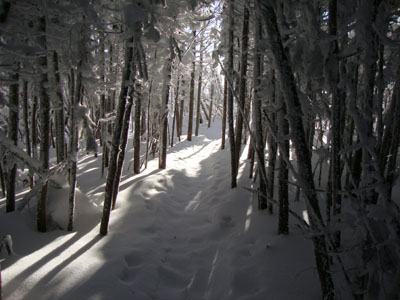 The Hancock Loop Trail between the peaks