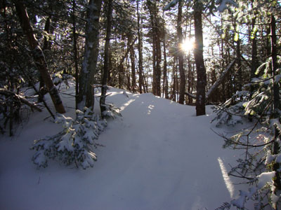 The Hancock Loop Trail between the peaks