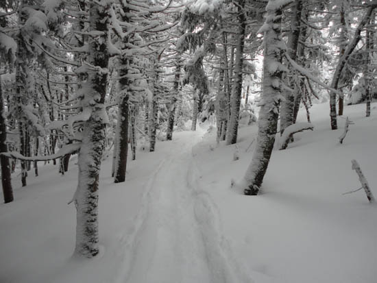 The Hancock Loop Trail between the peaks
