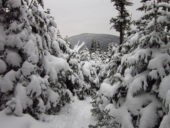 The Hancock Loop Trail between the peaks