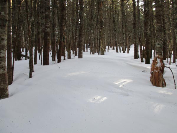 The drifted Hancock Loop Trail between the peaks